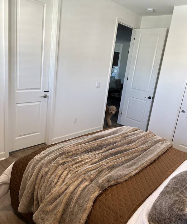 Photo of Bedroom in Bonita
