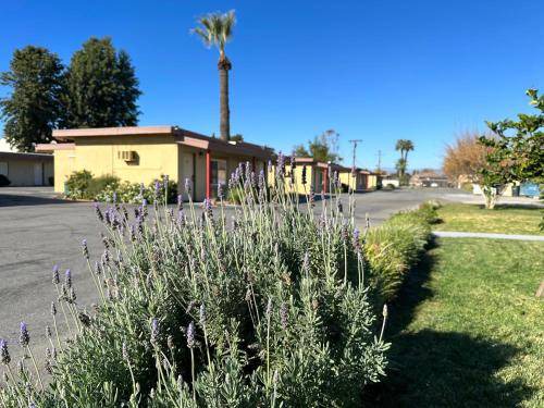 Photo of Others in Hemet