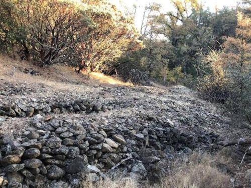 Photo of Others in Mariposa