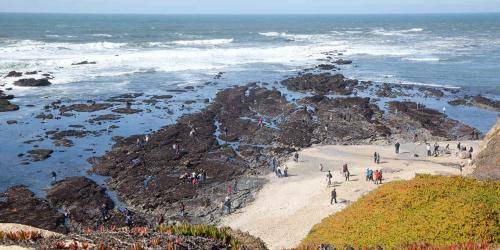 Photo of Others in Montara