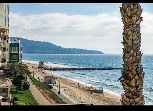 Photo of Others in South Redondo