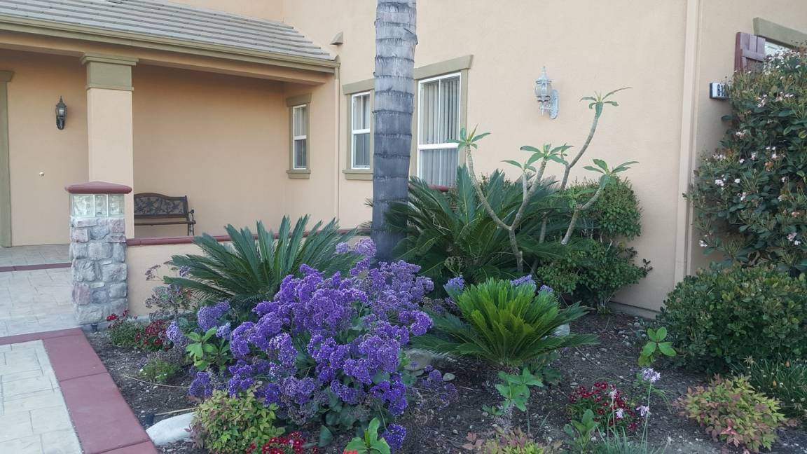 Photo of Buildings in Rancho Cucamonga