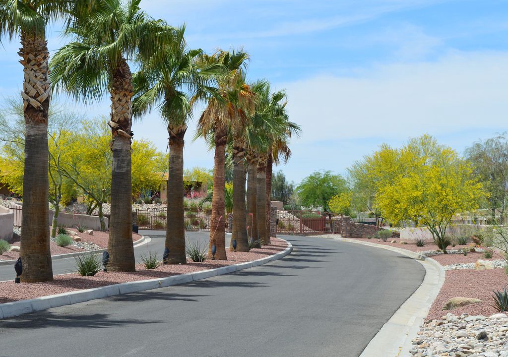 Photo of Others in Havasu Lake