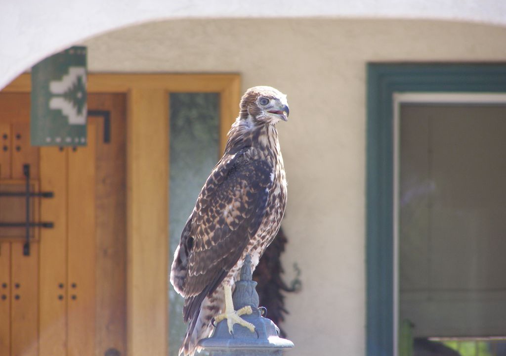 Photo of Others in Mount Helix