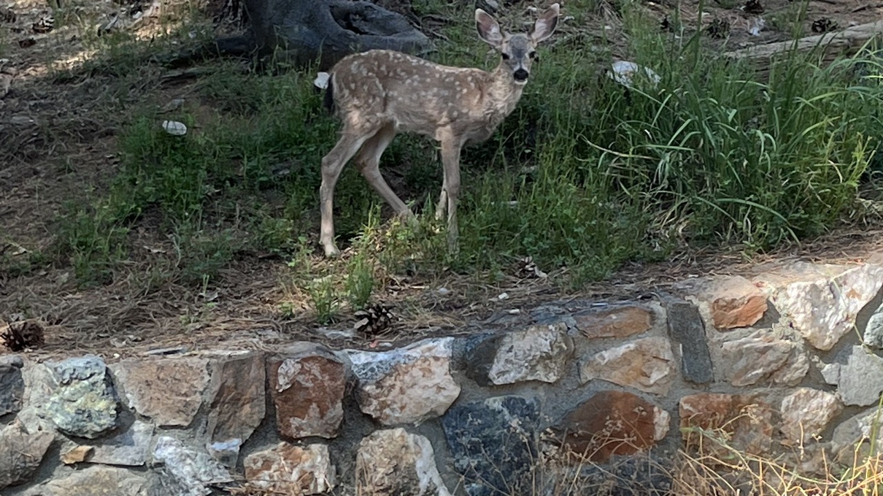 Photo of Outdoor in Cedar Ridge