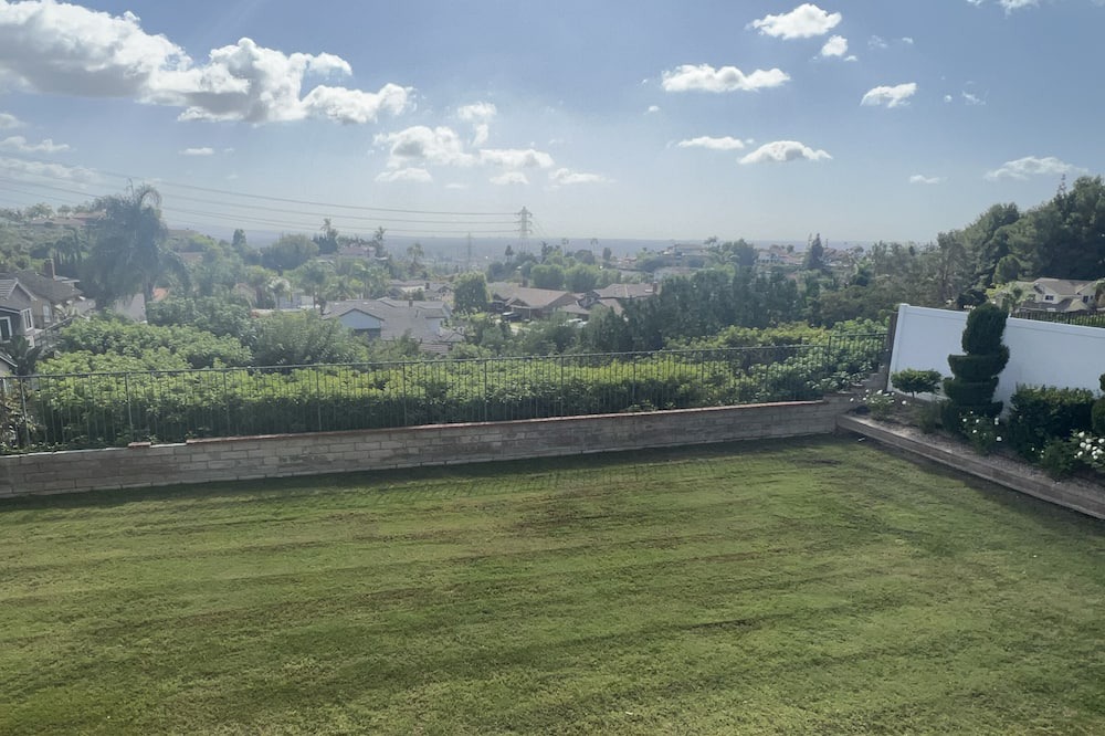 Photo of Outdoor in Orange