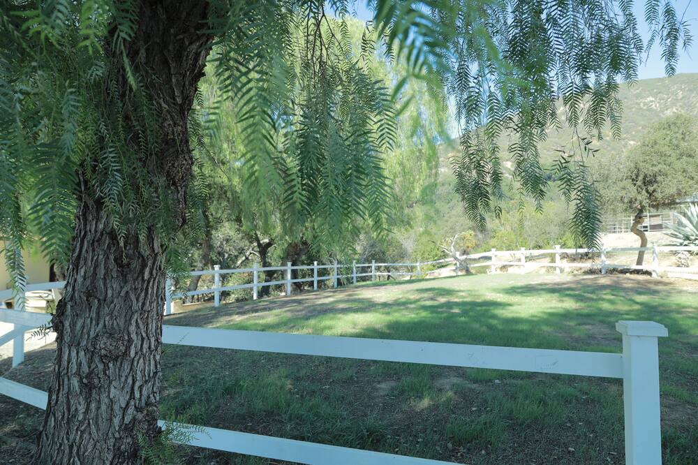 Photo of Others in Los Angeles County