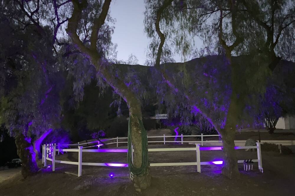 Photo of Outdoor in Los Angeles County