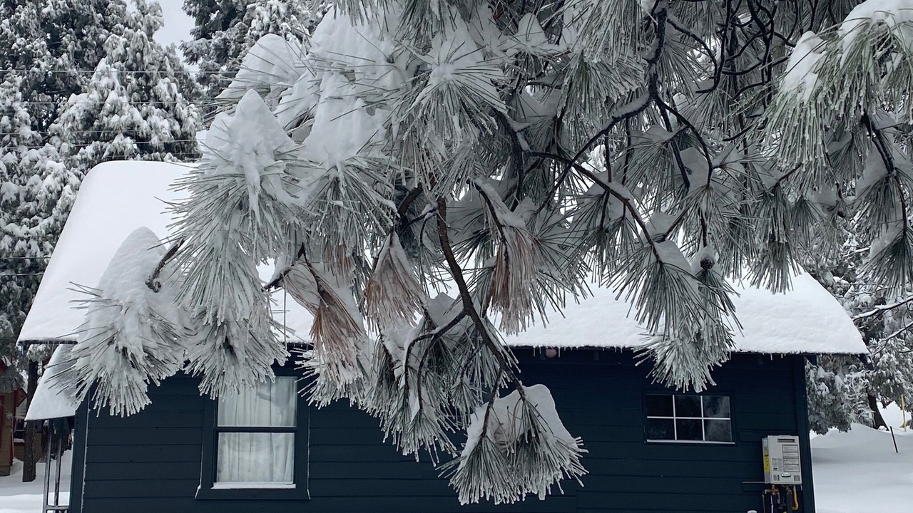 Photo of Outdoor in Twin Peaks