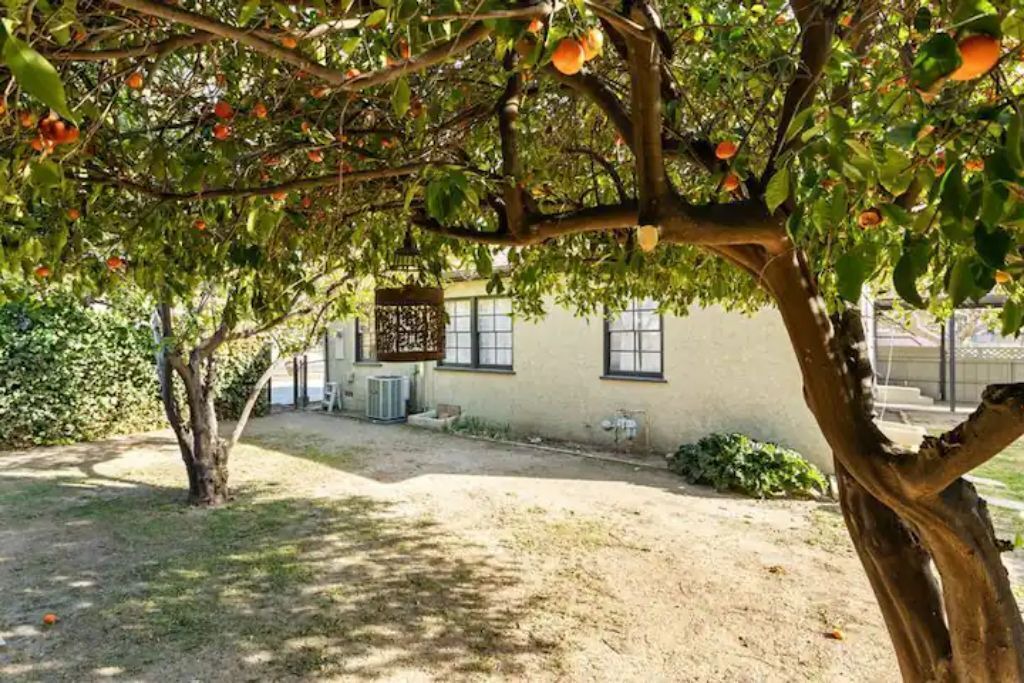 Photo of Outdoor in Northridge