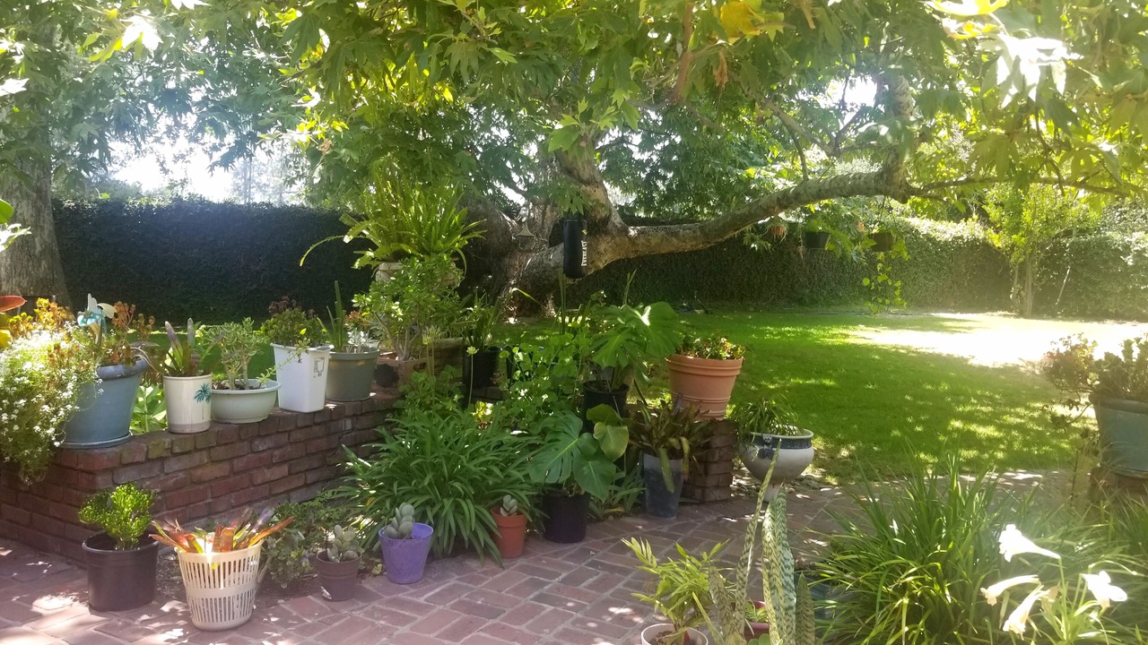 Photo of Outdoor in La Canada Flintridge