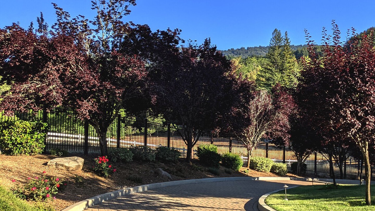 Photo of Outdoor in Gilroy