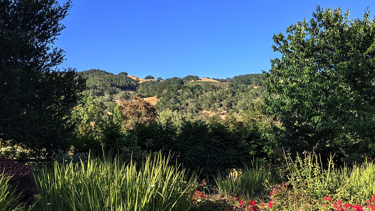 Photo of Outdoor in Gilroy