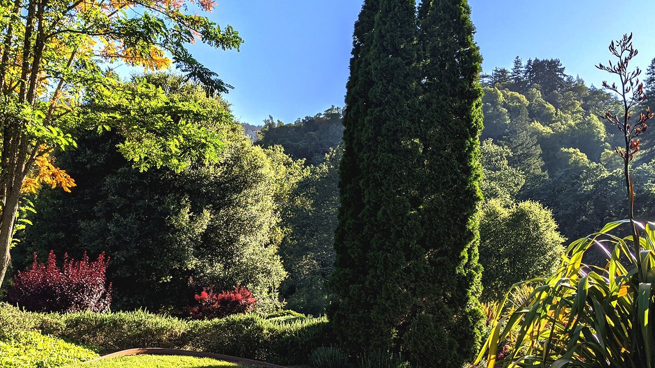 Photo of Outdoor in Gilroy