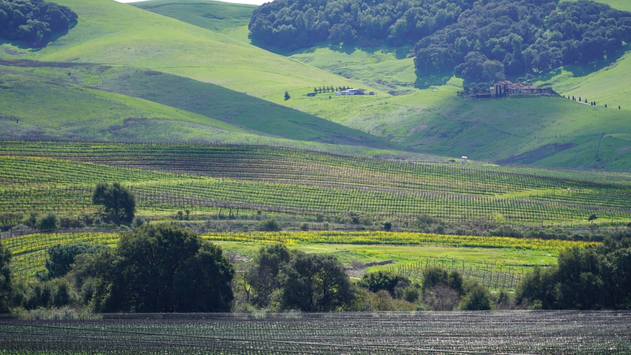 Photo of Outdoor in American Canyon