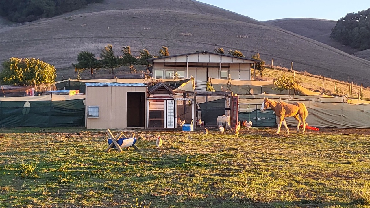 Photo of Others in American Canyon