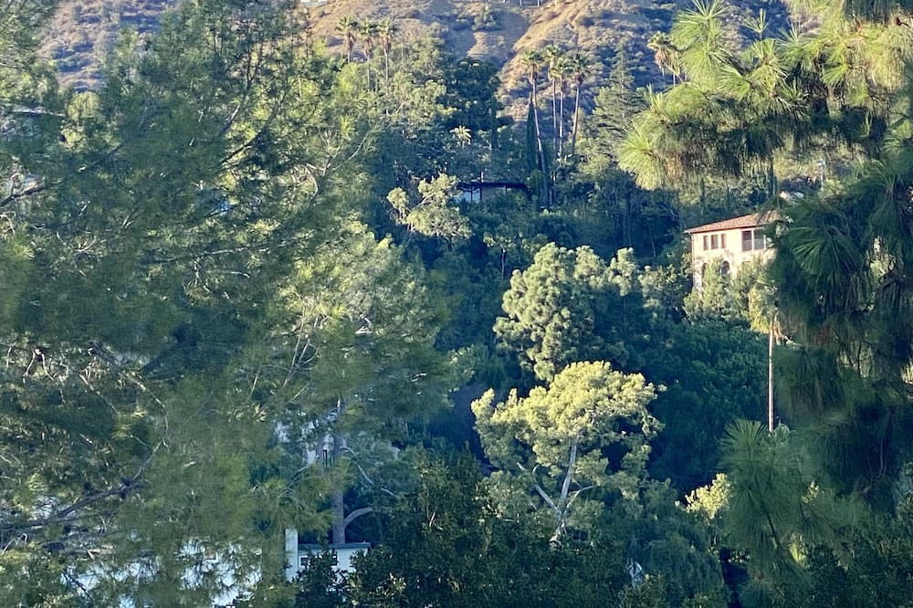 Photo of Outdoor in Beachwood Canyon