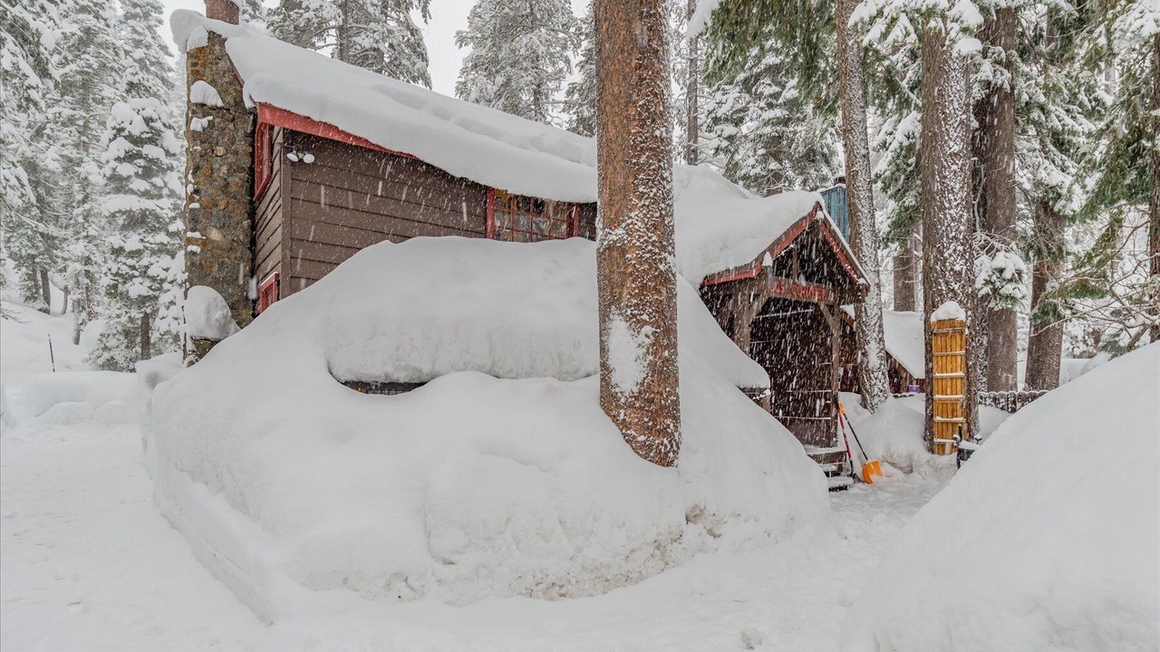 Photo of Outdoor in Donner Lake Woods