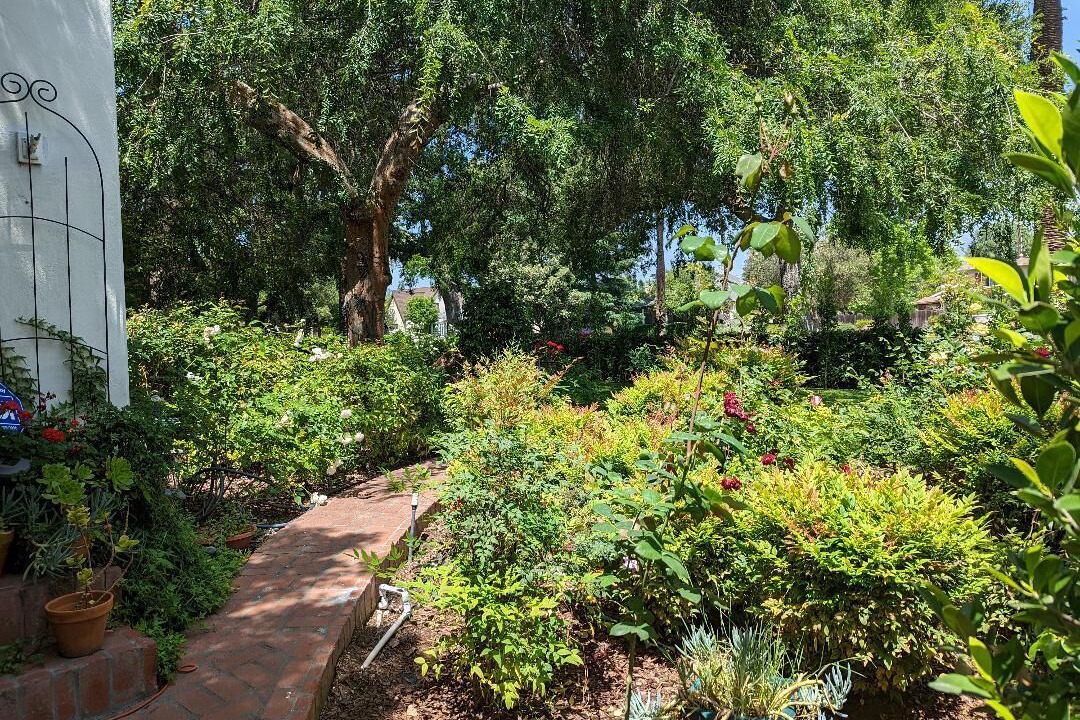 Photo of Outdoor in Pasadena