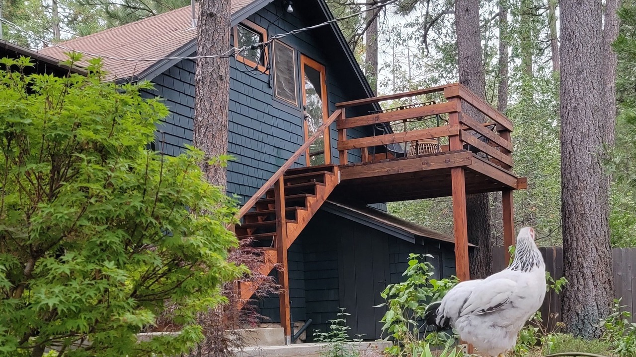 Photo of Outdoor in Idyllwild