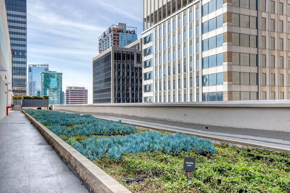 Photo of Outdoor in Financial District