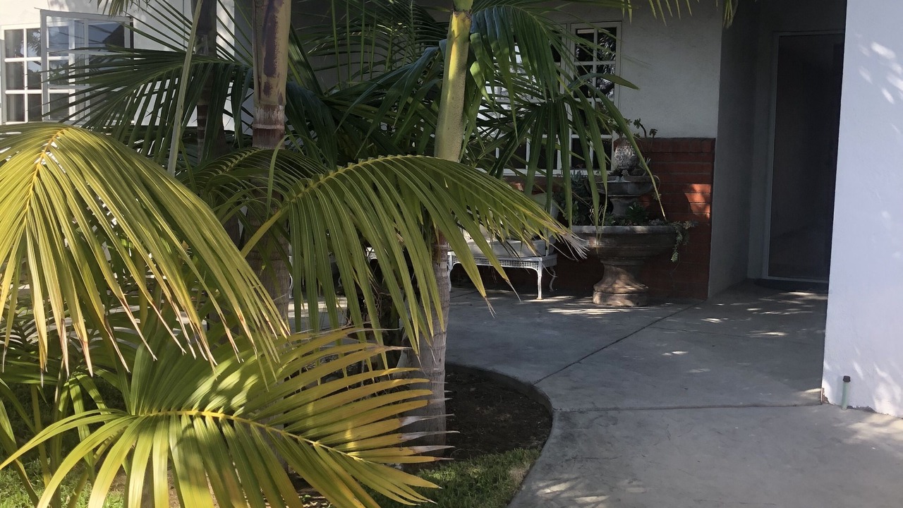 Photo of Outdoor in Olde Carlsbad