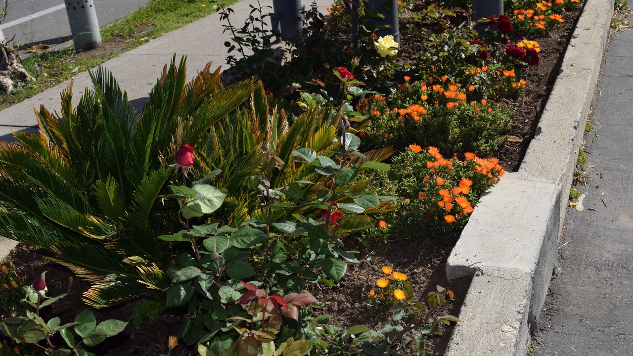Photo of Outdoor in North State
