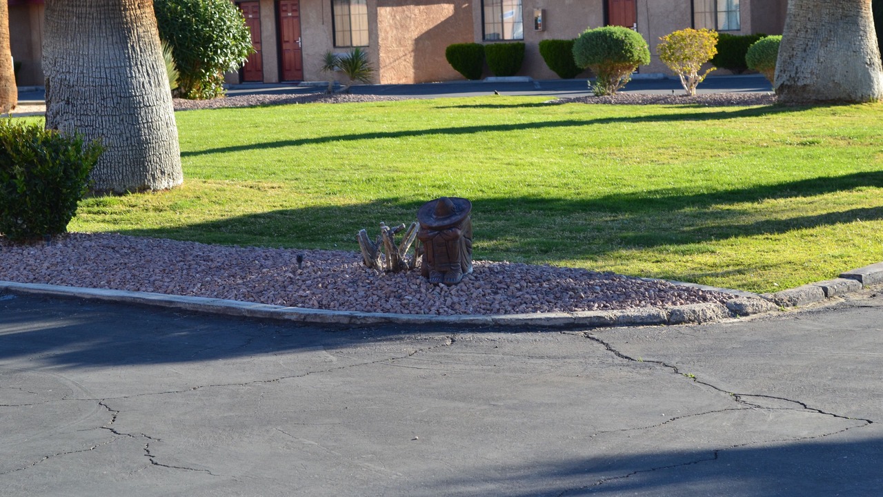 Photo of Outdoor in Twentynine Palms