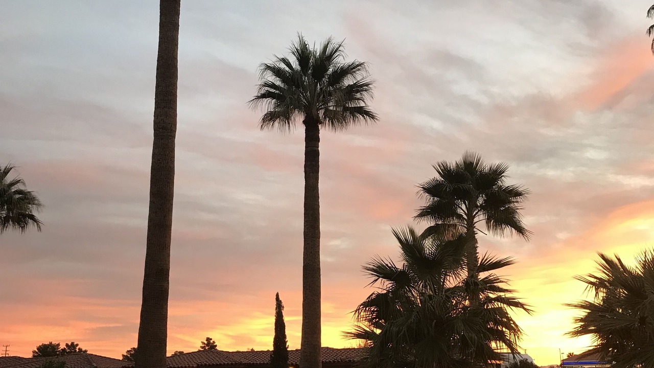 Photo of Outdoor in Twentynine Palms