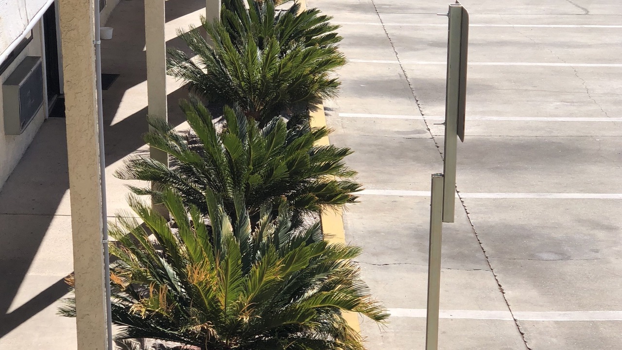 Photo of Outdoor in Northwest Anaheim