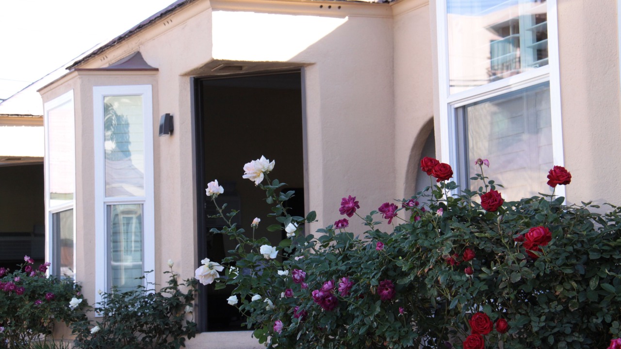 Photo of Outdoor in Studio City