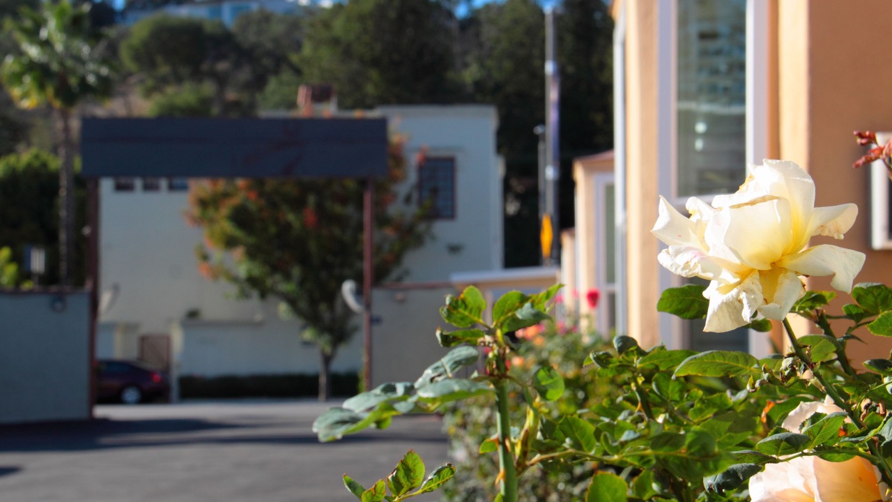 Photo of Others in Studio City