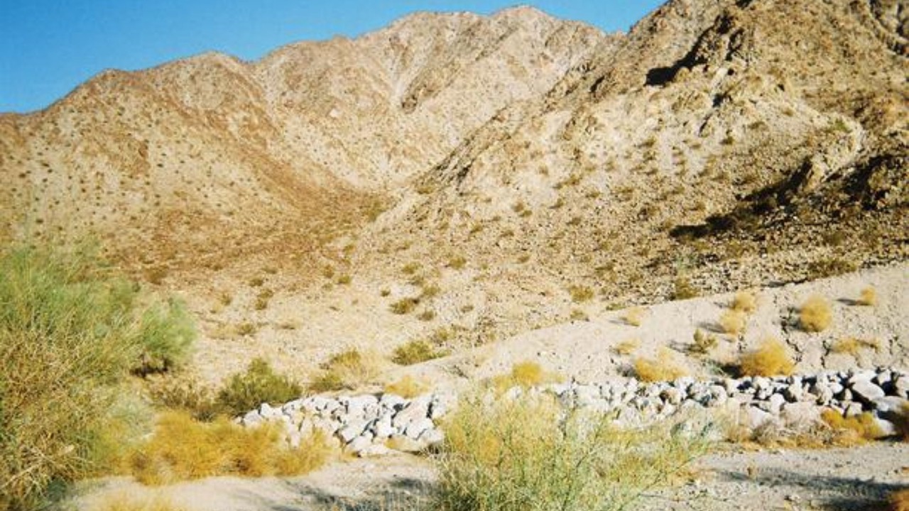 Photo of Others in Indio Hills