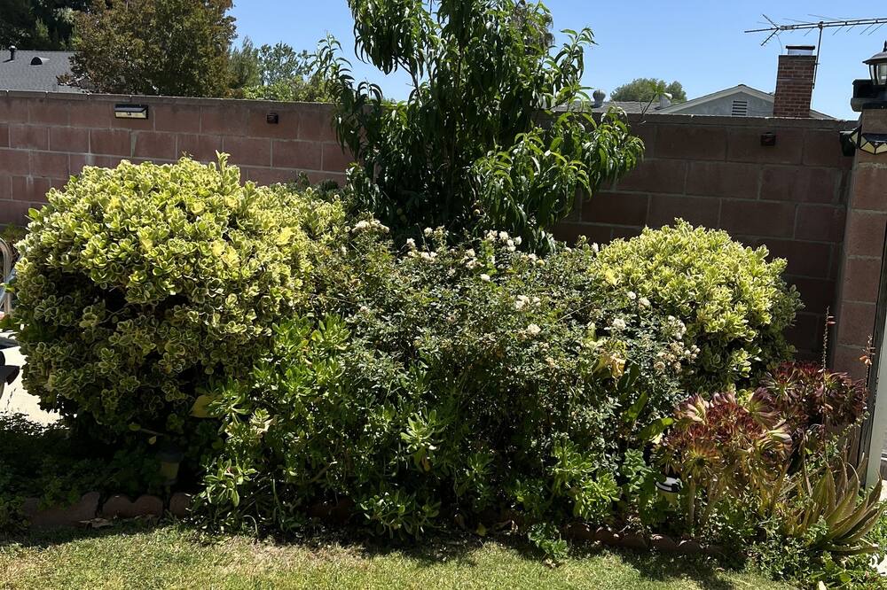Photo of Outdoor in North Hills West