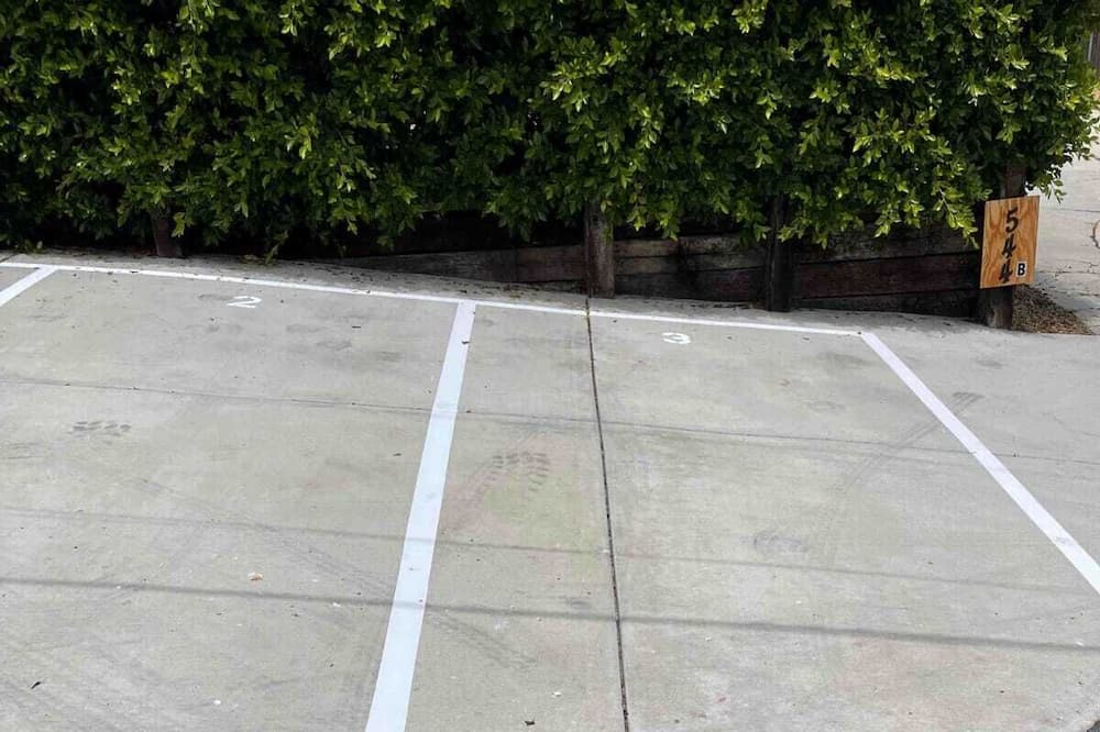 Photo of Others in Vista