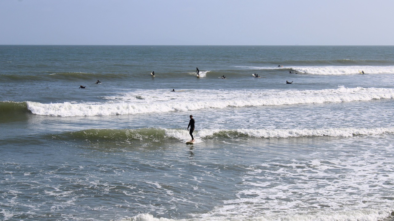 Photo of Others in Ventura