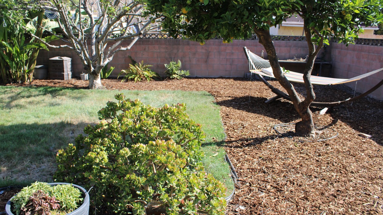Photo of Outdoor in Ventura