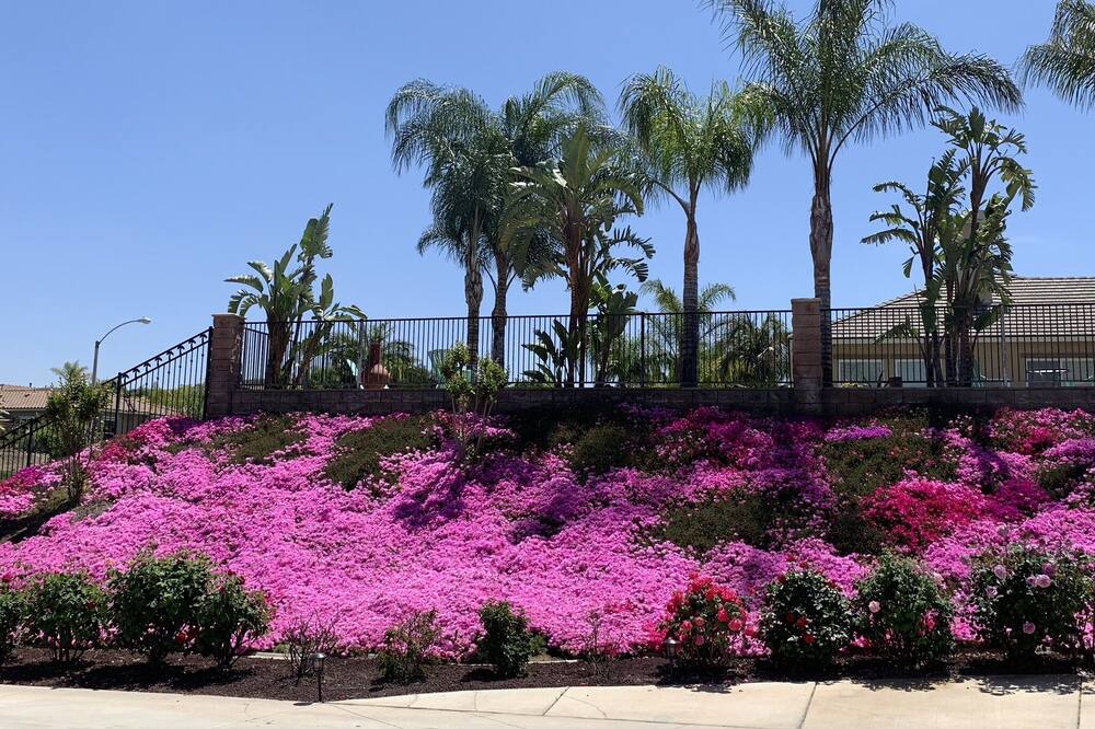 Photo of Outdoor in Alessandro Heights