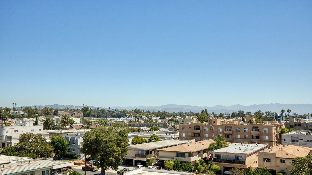 Photo of Others in Palms