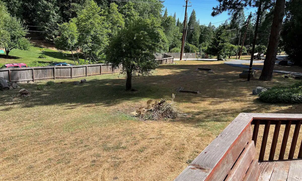 Photo of Outdoor in Twain Harte