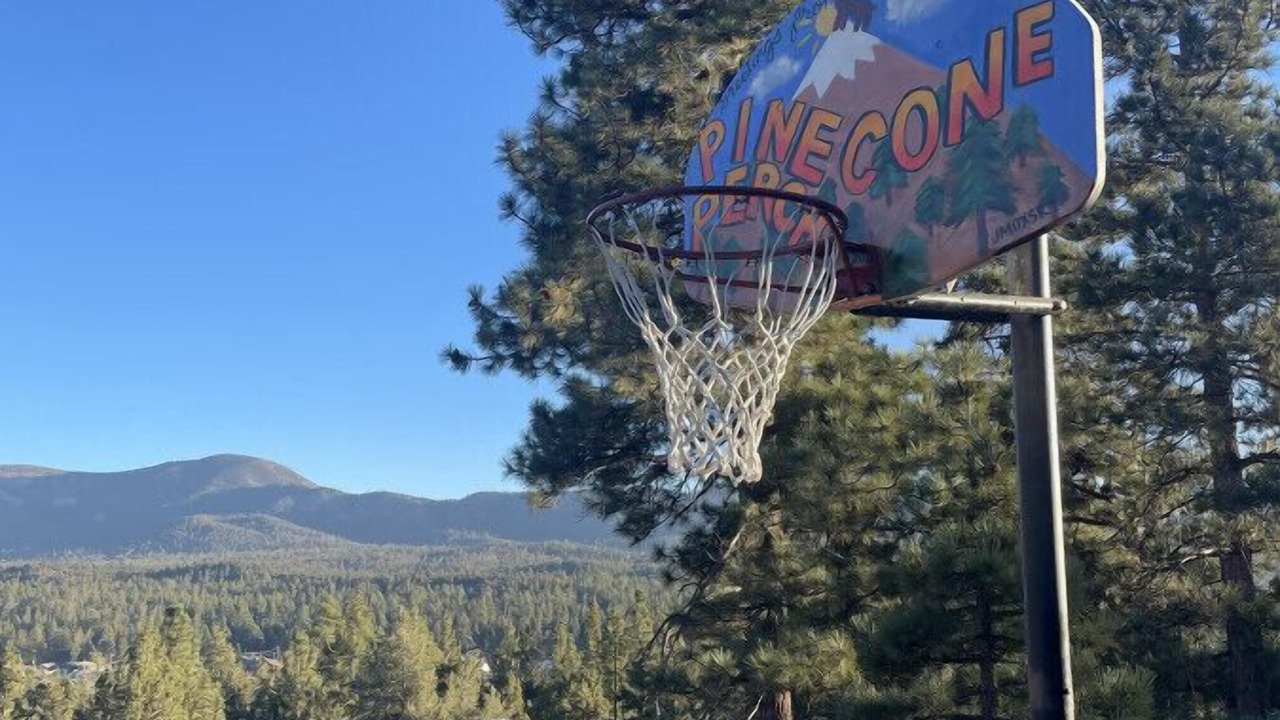 Photo of Outdoor in Whispering Forest