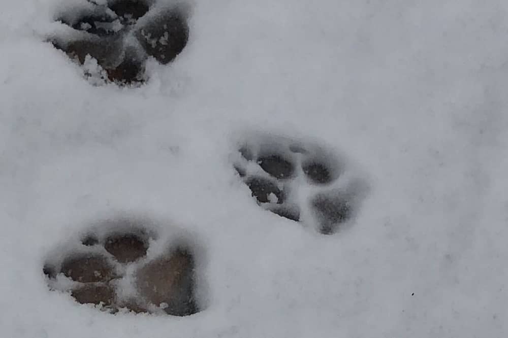 Photo of Others in Springville