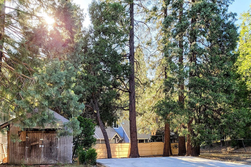 Photo of Outdoor in Cedarpines Park