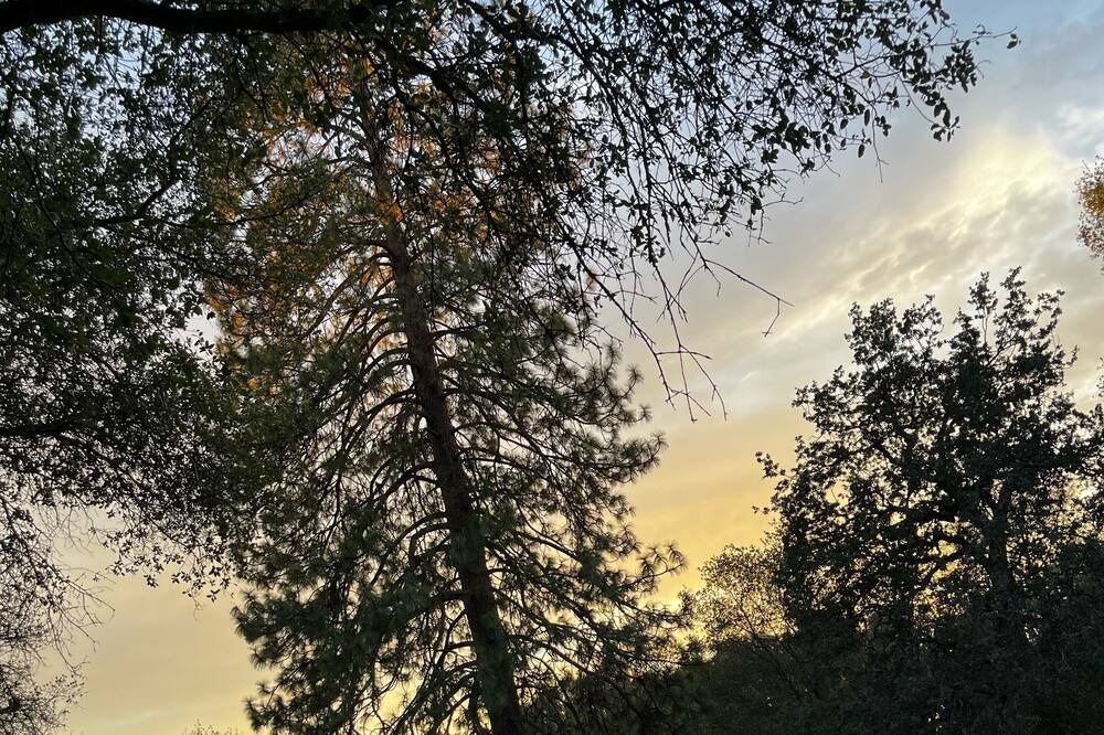 Photo of Outdoor in Mariposa