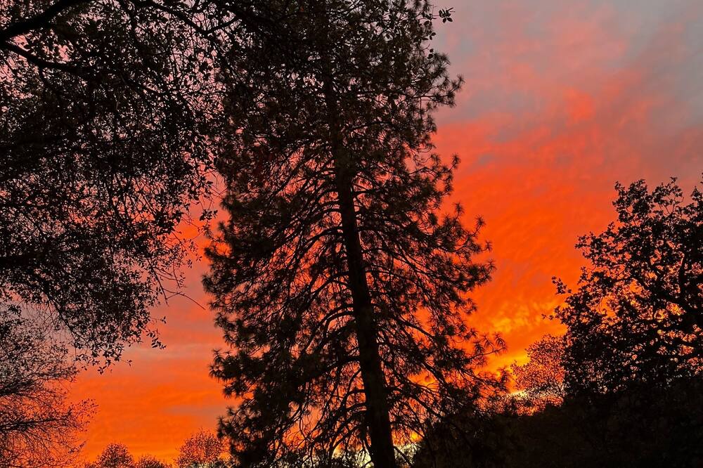 Photo of Outdoor in Mariposa