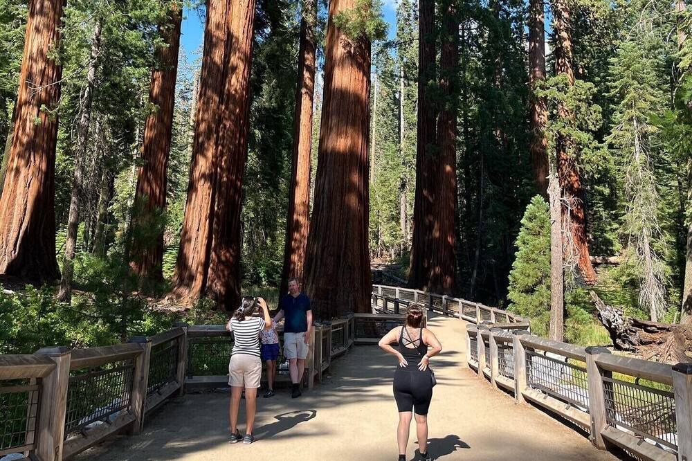 Photo of Others in Mariposa