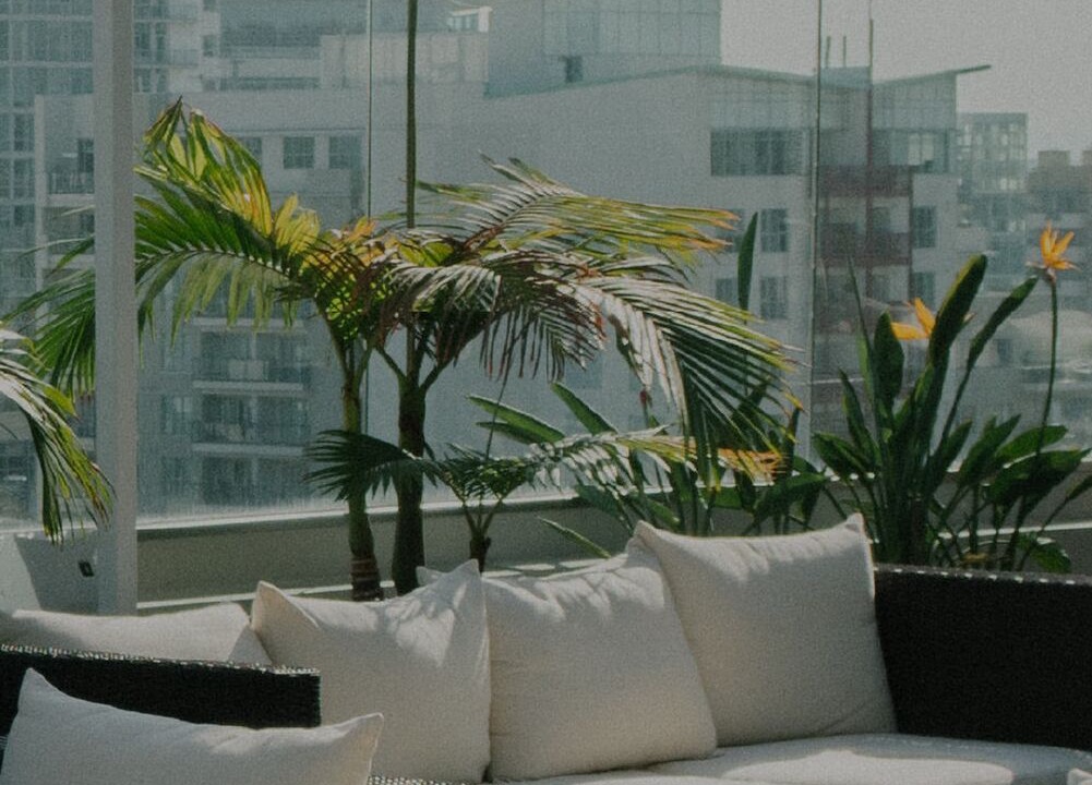 Photo of Others in Palms