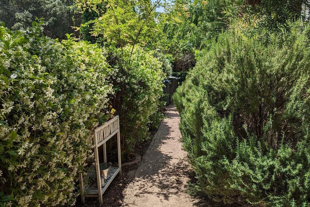 Photo of Outdoor in Pasadena