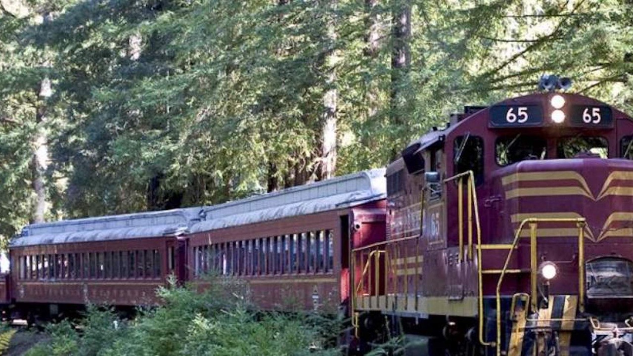 Photo of Outdoor in Willits