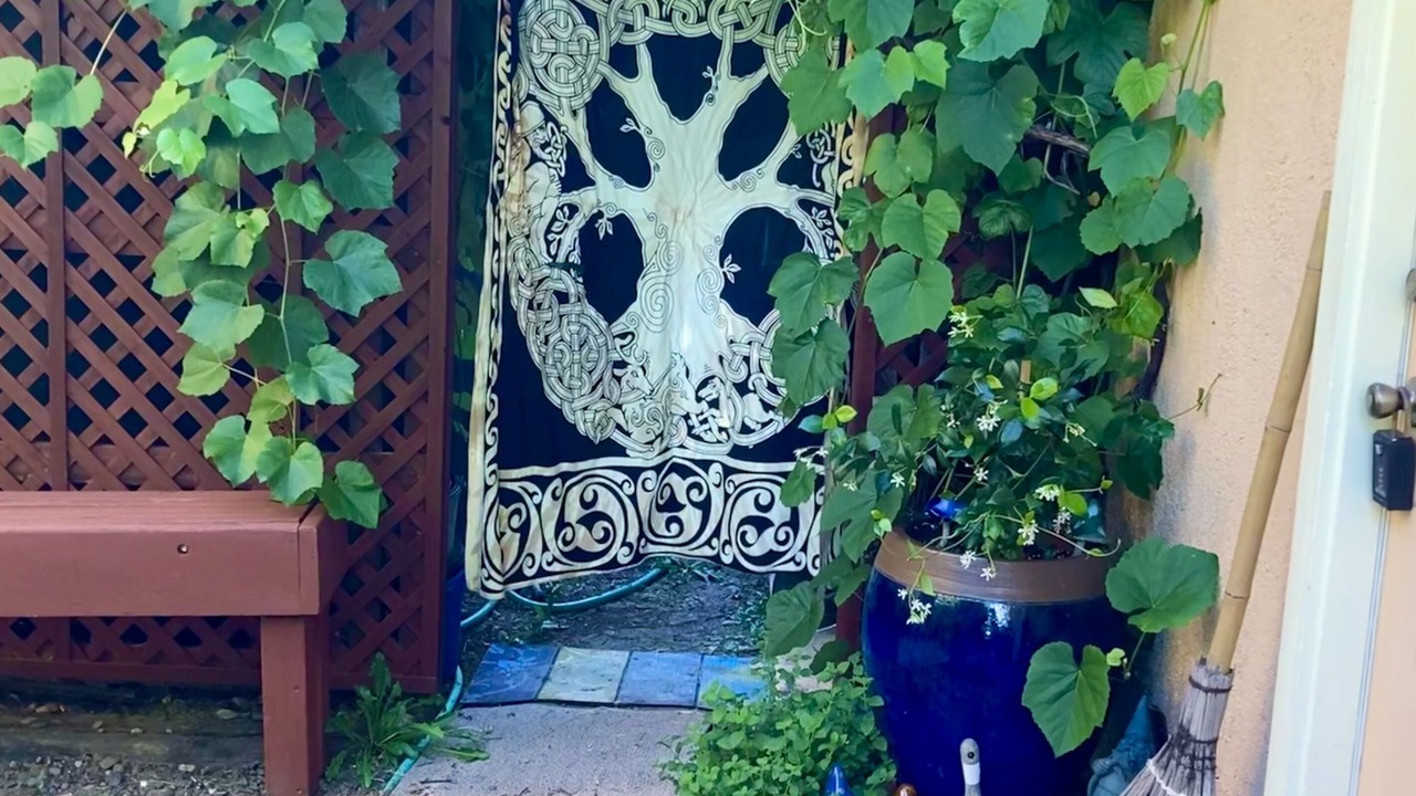 Photo of Outdoor in Willits